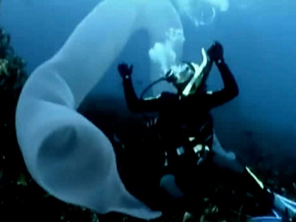 Strange Evidence - Episode 9