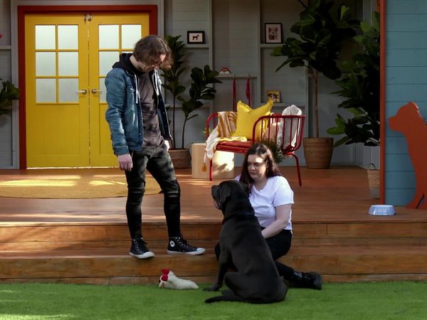Lucky Dog: Down Under - Tiger & Goober