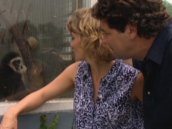 Monkey Business (1998) - Episode 2