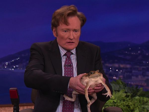 Conan - Conan: Ringo Starr & Mark "Dr. Bugs" Moffett (2/1/12)