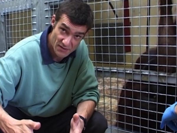 Monkey Business (1998) - Episode 12