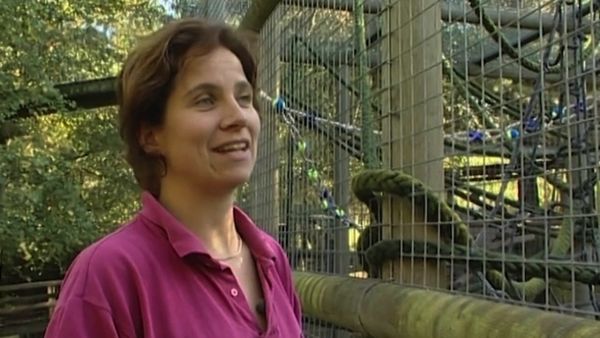 Monkey Business (1998) - Episode 3