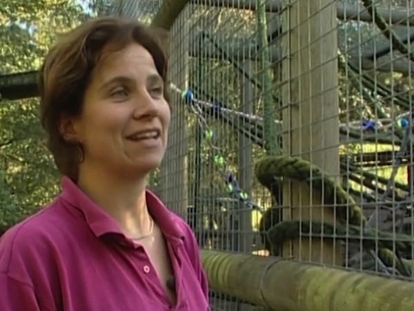 Monkey Business (1998) - Episode 3