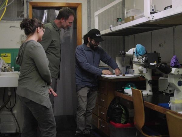 The Visioneers With Zay Harding - Upcycled Utensils, Busy Beavers, and Ocean Vaults