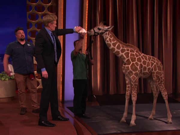 Conan - Conan: David Mizejewski & Hannah Simone (11/3/14)