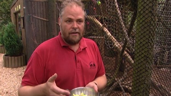 Monkey Business (1998) - Episode 10