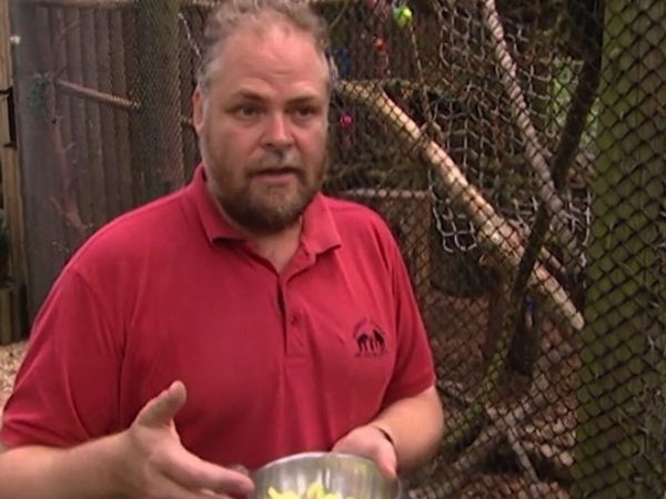 Monkey Business (1998) - Episode 10