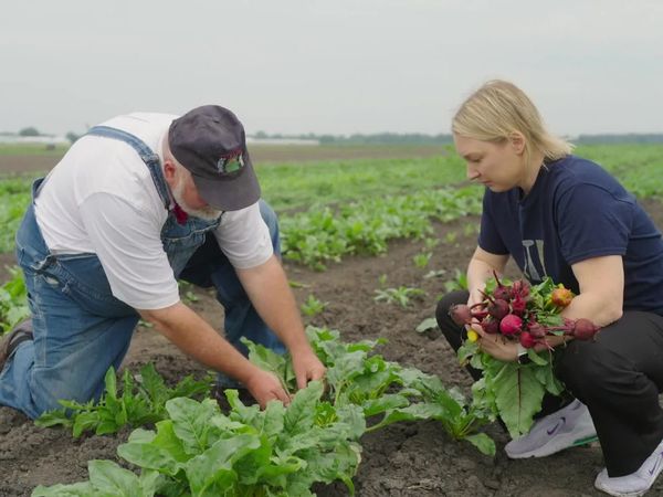The Chef's Garden - Beets with Emma Bengtsson