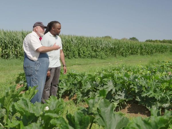 The Chef's Garden - Squash with Jason Howard