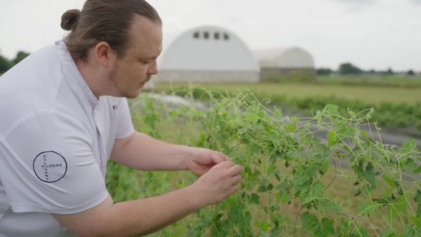 The Chef's Garden - Cucumbers with Bradley Kilgore