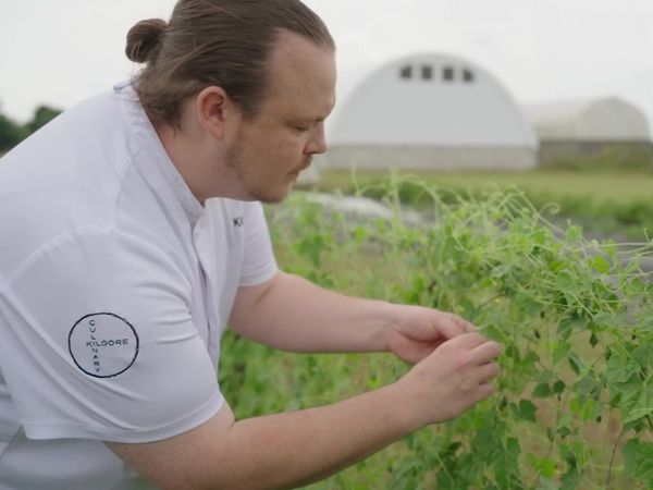 The Chef's Garden - Cucumbers with Bradley Kilgore