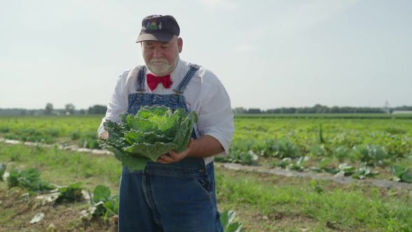 The Chef's Garden - Cabbage and Eggplant with Rachael Ray