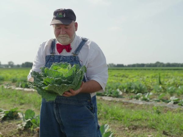 The Chef's Garden - Cabbage and Eggplant with Rachael Ray