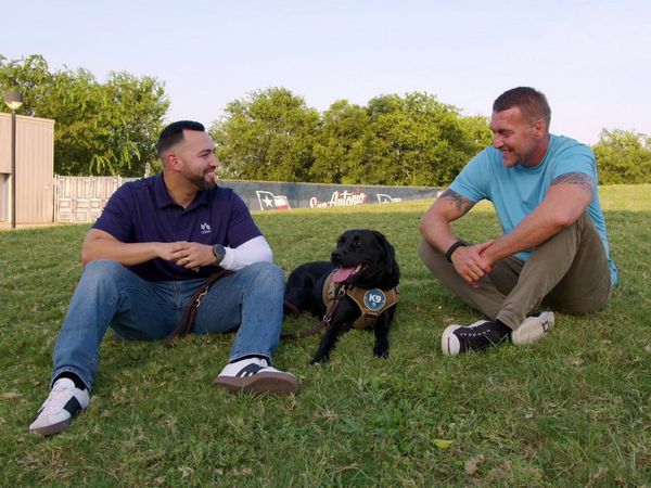Lucky Dog: Paws With Purpose - Smoky