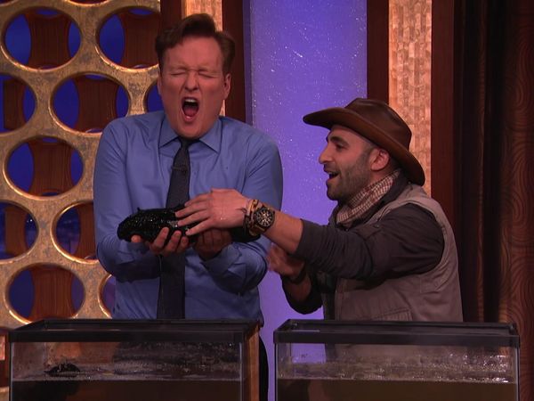 Conan - Conan: Jeff Goldblum & Coyote Peterson (1/11/17)