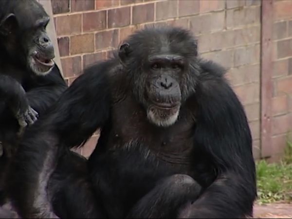 Zoo Days - Episode 5