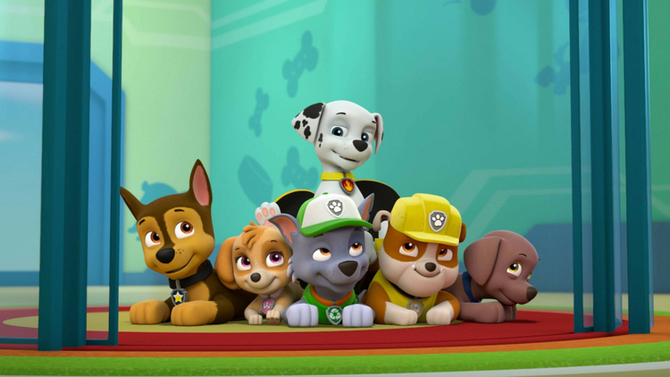 paw patrol pups save a roo