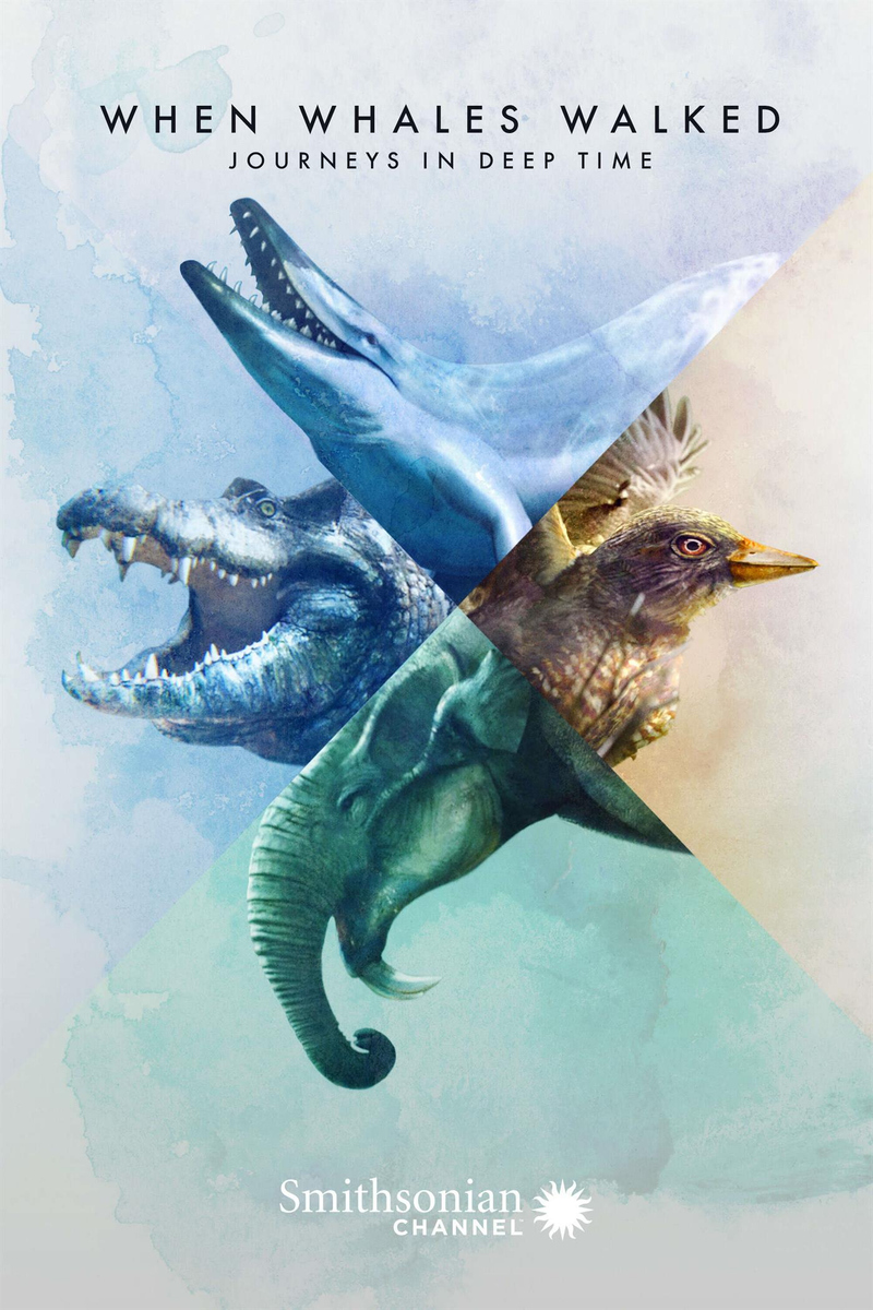 Watch When Whales Walked Journeys in Deep Time Stream now on