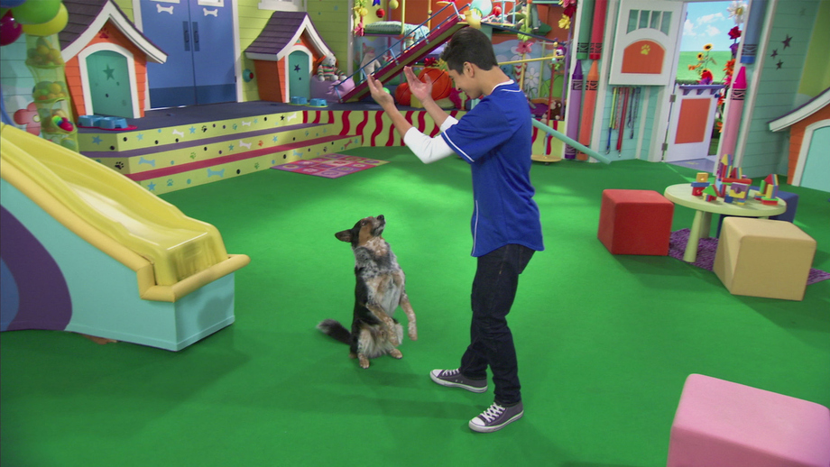 Watch Mutt & Stuff Season 1 Episode 38: Ba-a-a-ack To ...