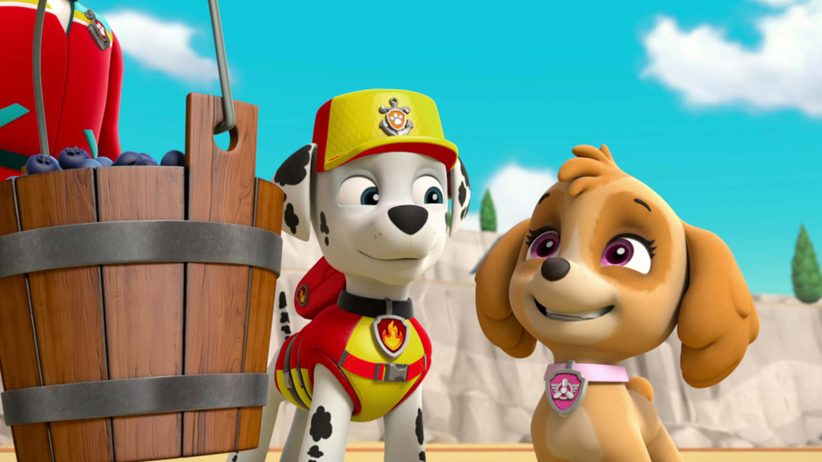 paw patrol sea patrol pups save the pier